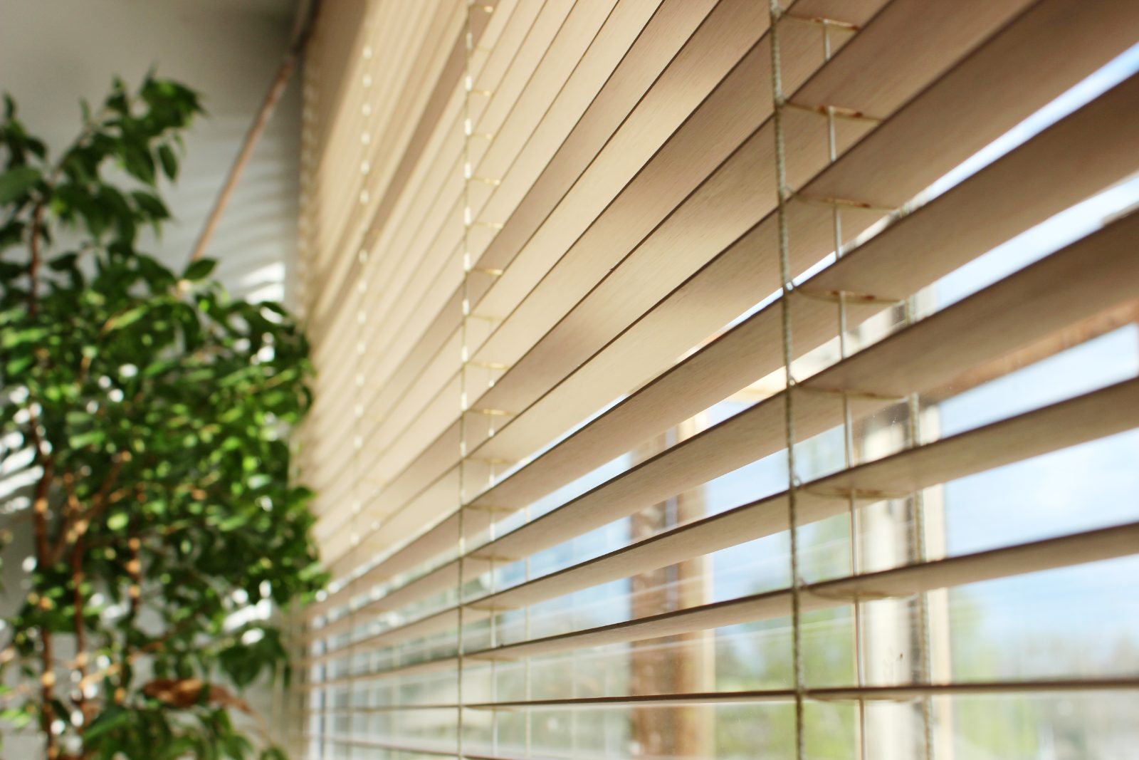 Window blinds hanging straight and level